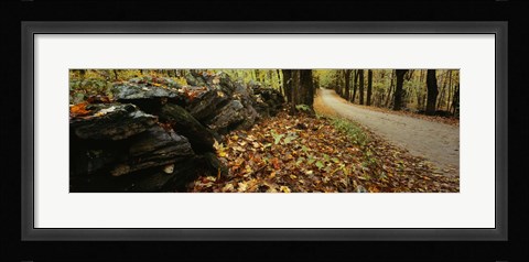 Framed Road passing through a forest, White Mountains, New Hampshire Print