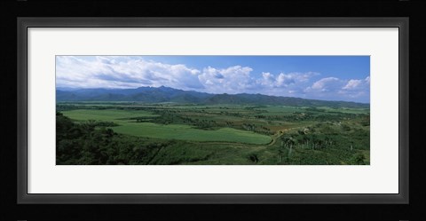 Framed High angle view of sugar cane fields, Cienfuegos, Cienfuegos Province, Cuba Print