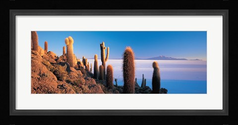 Framed Cactus on a hill, Salar De Uyuni, Potosi, Bolivia Print