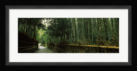 Framed Road passing through a bamboo forest, Arashiyama, Kyoto Prefecture, Kinki Region, Honshu, Japan Print