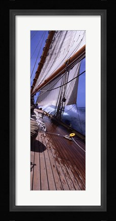 Framed Sailboat in the sea, Antigua (vertical) Print