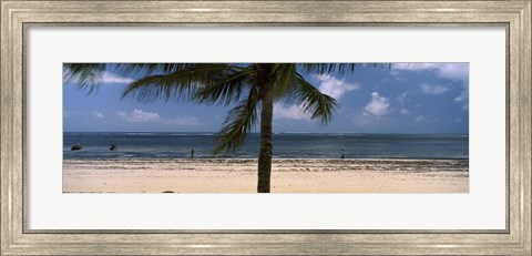 Framed Palm tree on the beach, Malindi, Coast Province, Kenya Print