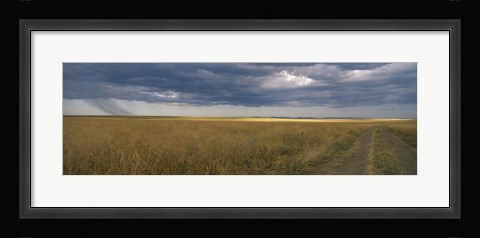 Framed Dirt road passing through a meadow, Masai Mara National Reserve, Great Rift Valley, Kenya Print