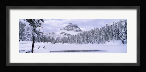 Framed Trees along a frozen lake, Lake Antorno, Tre Cime Di Lavaredo, Dolomites, Cadore, Province of Belluno, Veneto, Italy Print