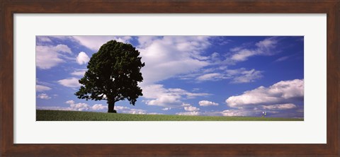 Framed Tree in a field with woman walking along with balloons, Baden-Wurttemberg, Germany Print