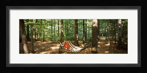 Framed Hammock in a forest, Baden-Wurttemberg, Germany Print