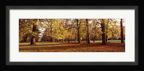 Framed Ludwigsburg Park in autumn, Ludwigsburg, Baden-Wurttemberg, Germany Print