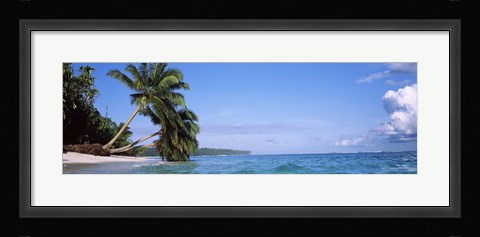 Framed Palm trees on the beach, Indonesia Print