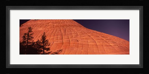 Framed Shadow of trees on a rock formation, Checkerboard Mesa, Zion National Park, Utah, USA Print