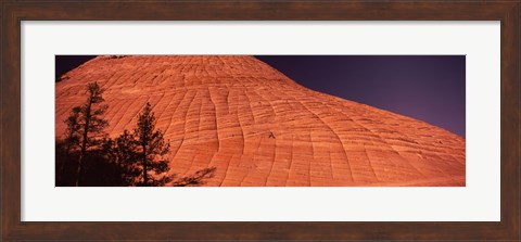 Framed Shadow of trees on a rock formation, Checkerboard Mesa, Zion National Park, Utah, USA Print