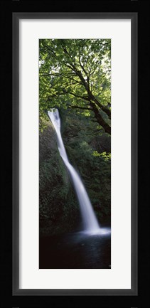 Framed Waterfall in a forest, Horsetail falls, Larch Mountain, Hood River, Columbia River Gorge, Oregon, USA Print
