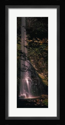 Framed Waterfall in a forest, Columbia Gorge, Oregon, USA Print