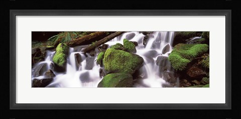 Framed Cascading waterfall in a rainforest, Olympic National Park, Washington State, USA Print