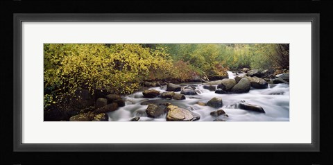 Framed River passing through a forest, Inyo County, California, USA Print