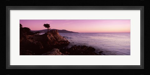 Framed Silhouette of a cypress tree at coast, The Lone Cypress, 17 mile Drive, Carmel, California, USA Print