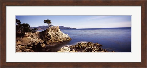 Framed Cypress tree at the coast, The Lone Cypress, 17 mile Drive, Carmel, California Print