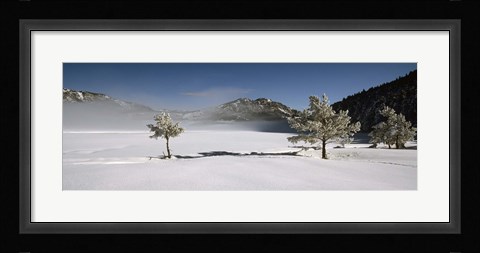 Framed Trees on a snow covered landscape, French Riviera, France Print