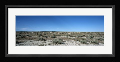 Framed Herd of springboks (Antidorcas marsupialis) grazing in a landscape, Etosha National Park, Kunene Region, Namibia Print