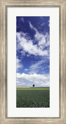 Framed Germany, Baden-Wurttemberg,Single tree in field, clouds Print