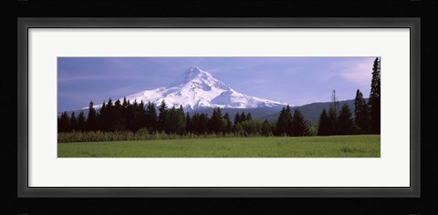 Framed Field with a snowcapped mountain in the background, Mt Hood, Oregon (horizontal) Print