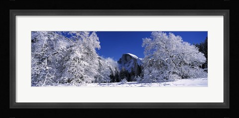 Framed Half Dome, Yosemite National Park, Mariposa County, California Print