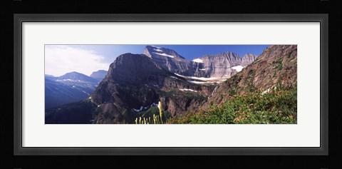 Framed Wildflowers with mountain range in the background, US Glacier National Park, Montana, USA Print
