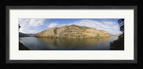 Framed Vineyards at the riverside, Cima Corgo, Duoro River, Douro Valley, Portugal Print