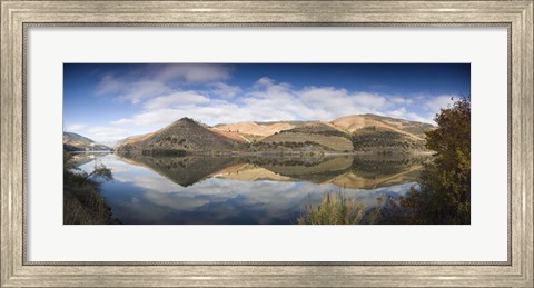 Framed Reflection of Vineyards in the River, Cima Corgo, Duoro River, Portugal Print