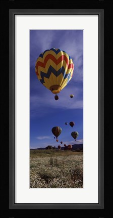 Framed Hot air balloons rising, Hot Air Balloon Rodeo, Steamboat Springs, Colorado Print