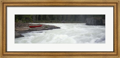 Framed River flowing in a forest, Kicking Horse River, Yoho National Park, British Columbia, Canada Print