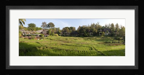 Framed Rice fieldst, Chiang Mai, Thailand Print