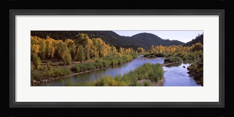 Framed River flowing through a forest, Jackson, Jackson Hole, Teton County, Wyoming, USA Print