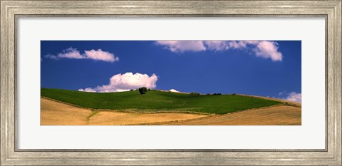 Framed Agricultural field, Ronda, Malaga Province, Andalusia, Spain Print