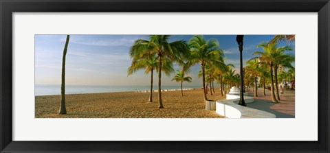 Framed Palm trees on the beach, Las Olas Boulevard, Fort Lauderdale, Florida, USA Print
