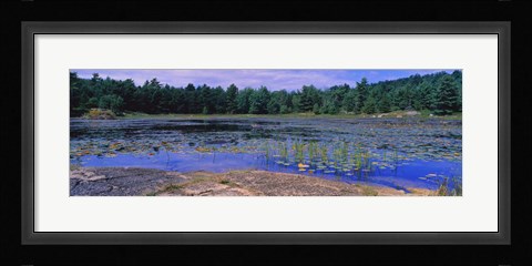 Framed Pond in a national park, Bubble Pond, Acadia National Park, Mount Desert Island, Hancock County, Maine, USA Print