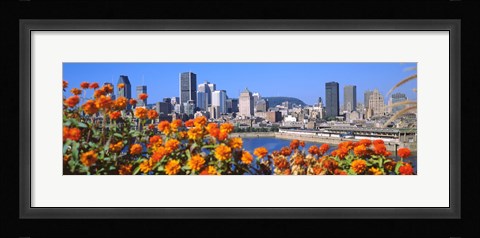 Framed Blooming flowers with city skyline in the background, Montreal, Quebec, Canada 2010 Print