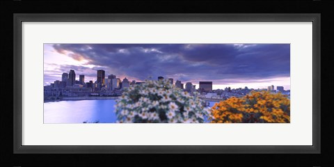 Framed Blooming flowers with Montreal skyline, Quebec, Canada 2010 Print