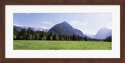 Framed Trees on a hill with mountain range in the background, Karwendel Mountains, Risstal Valley, Hinterriss, Tyrol, Austria Print