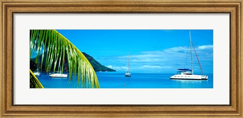 Framed Sailboats in the ocean, Tahiti, Society Islands, French Polynesia (horizontal) Print
