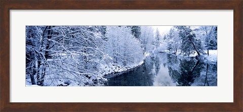 Framed Snow covered trees along a river, Yosemite National Park, California, USA Print