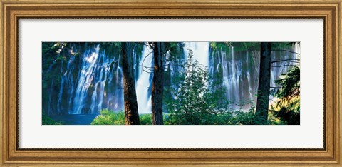 Framed Waterfall in a forest, McArthur-Burney Falls Memorial State Park, California Print
