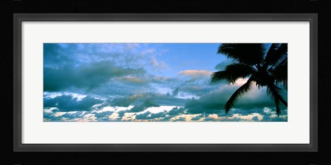 Framed Palm tree on the beach, Hawaii, USA Print