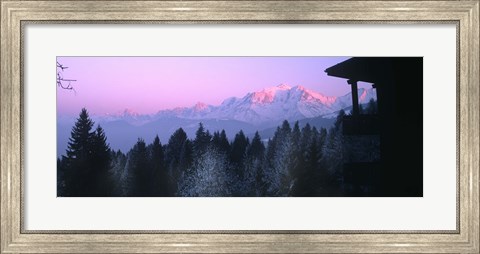 Framed Trees with snow covered mountains at sunset in winter, Combloux, Mont Blanc Massif, Haute-Savoie, Rhone-Alpes, France Print