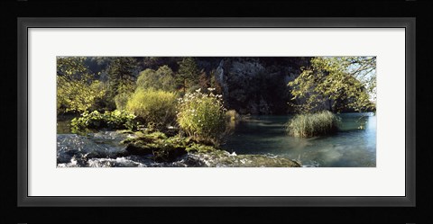 Framed Trees and plants at the lakeside, Plitvice Lake, Plitvice Lakes National Park, Croatia Print