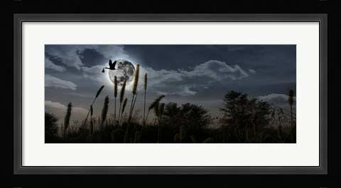 Framed Stork with a baby flying over moon Print