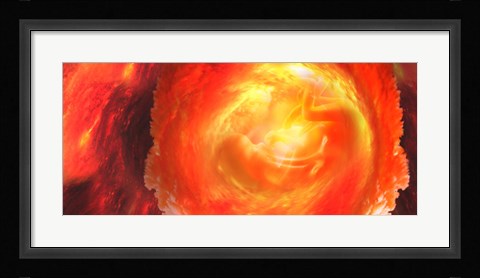 Framed Baby in uterus Print