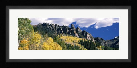 Framed Forest on a mountain, Jackson Guard Station, Ridgway, Colorado, USA Print