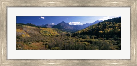 Framed Trees on mountains, State Highway 62, Ridgway, Colorado, USA Print