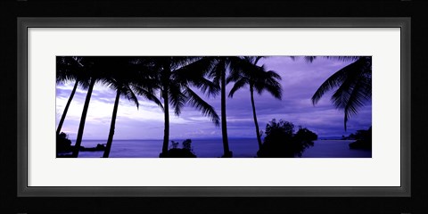 Framed Palm trees on the coast, Colombia (purple horizontal) Print