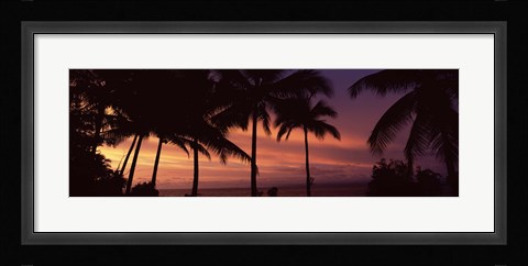 Framed Palm trees on the coast, Colombia (pink sky) Print